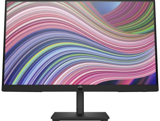Monitor HP P22